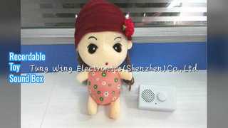 Записываемая звуковая коробка для плюшевых игрушек