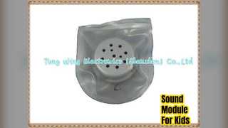 Водонепроницаемый звуковой модуль Детская одежда Обувь Игрушки